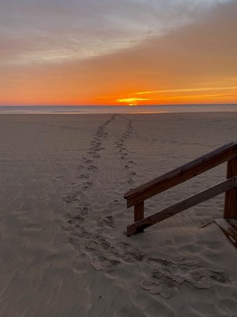 Footprints in sand leading toward the horizon — a symbol of the journey within Into Amazing Grace